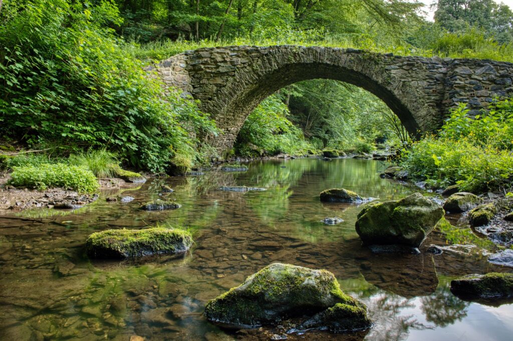 Pont de pierre, rivière claire, rochers moussus, forêt dense et verdoyante.